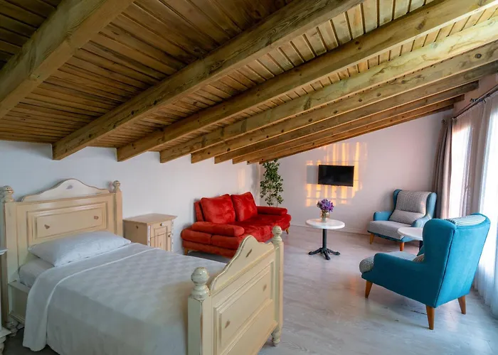 酒店 Ra Altinova (Ayvalik)